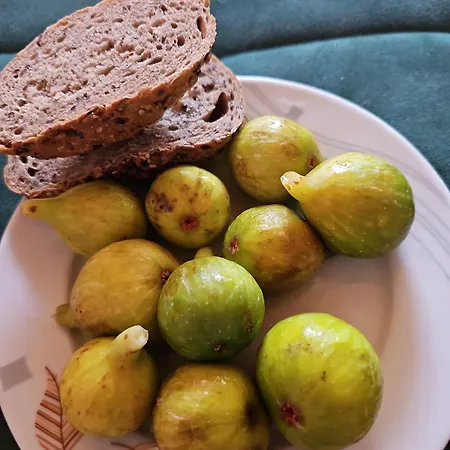 Lägenhet Annika